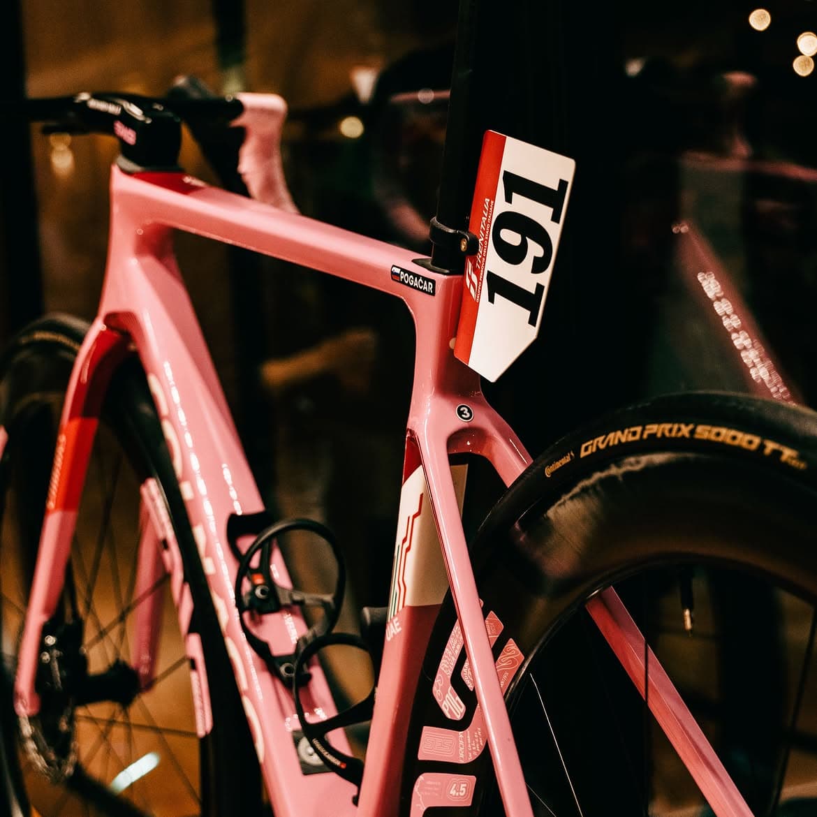 Interno temporary store con catalogo e bici esposta